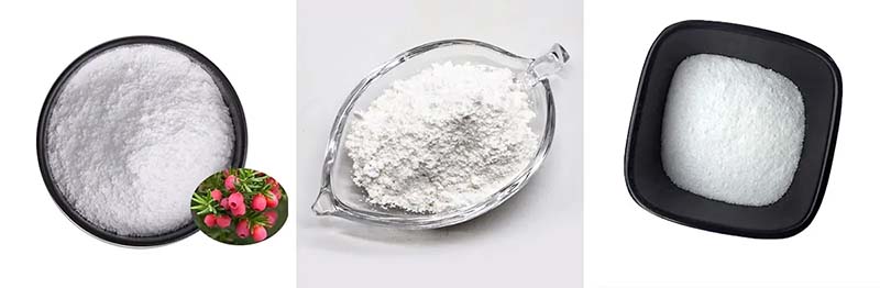 Paclitaxel CAS: 33069-62-4