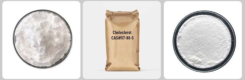 كولسترول رقم CAS: 57-88-5